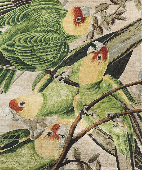 Rug-Star-at-Stark-Carpet-Four-Parrots.jpg